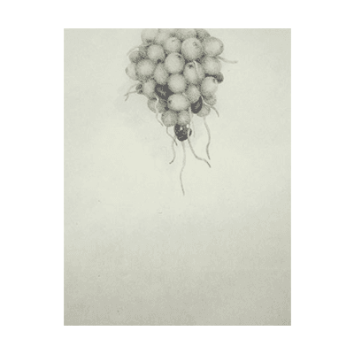 Revibration_Tomomi Ono
