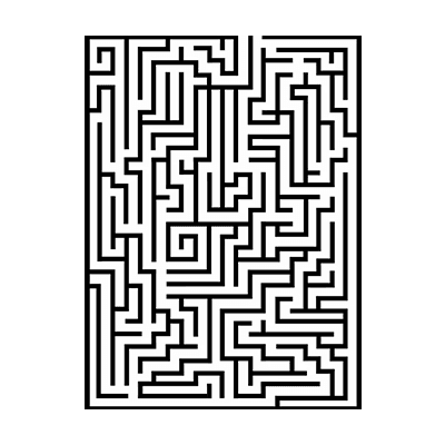 Life of ants and bees 2017
